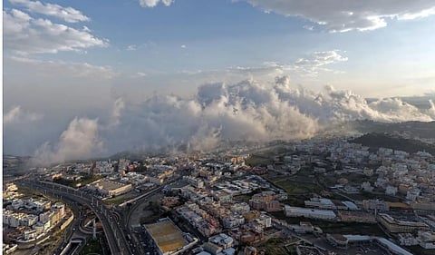  أجواء الخريف.. ضباب وأمطار تُجسّد جمال الطبيعة في عسير