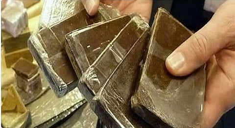 إحباط تهريب 13 كيلوجرامًا من الحشيش المخدر بجازان