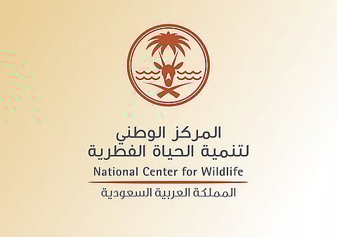 «الحياة الفطرية»: تصوير الكائنات في بيئاتها الطبيعية لا يُعد مخالفة