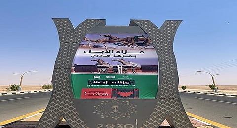 مزاد مدرج للإبل.. كرنفال اقتصادي وتراثي يعزز مكانة القصيم الاقتصادية