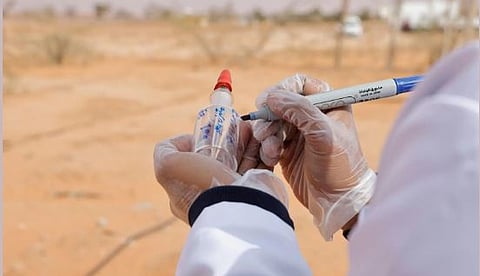 المختبر المتنقل في أراضي الغطاء النباتي.. نقلة نوعية نحو مستقبل أخضر ومستدام