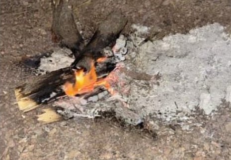 محمية الأمير محمد بن سلمان الملكية