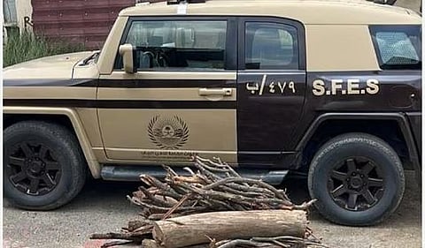 ضبط مواطن مخالف لنظام البيئة لنقله حطبًا محليًا في منطقة حائل