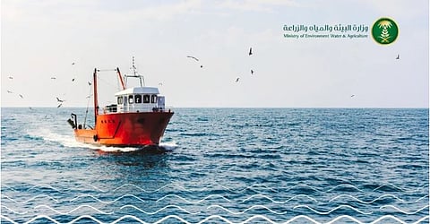«أم القرى» تنشر قرار الموافقة على بروتوكول التعاون الإقليمي في إدارة المصايد وتربية الأحياء البحرية في البحر الأحمر وخليج عدن