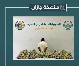 حرس الحدود يحبط تهريب 291 كجم من القات والحشيش في عسير وجازان