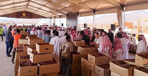 موسم التمور في العُلا يشهد إقبالا كبيرا من المزارعين والمتسوقين والتجار داخل المملكة وخارجها 