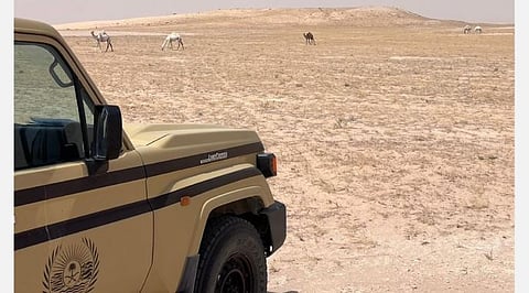 ضبط مقيم نيبالي بعد تفريغ مواد خرسانية في المنطقة الشرقية ومواطن بسبب الرعي بمحمية الملك عبدالعزيز الملكية