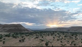 مسؤول بـ«الغطاء النباتي»: مبادرة نثر البذور تسهم في مكافحة التصحر وتأهيل الأراضي المتدهورة