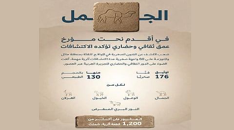 اكتشاف يوثق أكثر من 12 ألف سنة من مواقع الفن الصخري في صحراء النفود