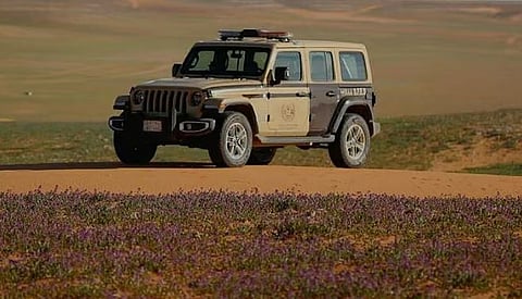 ضبط مواطن لارتكابه مخالفة الشروع في الصيد دون ترخيص في محمية الإمام عبدالعزيز الملكية