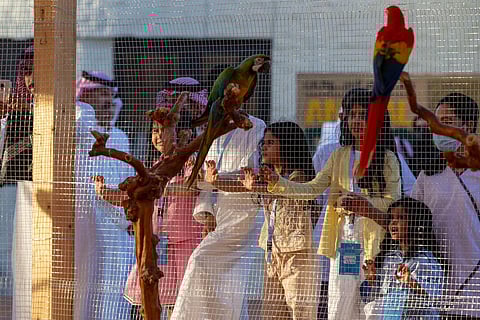 معرض الصقور والصيد السعودي الدولي 2025 