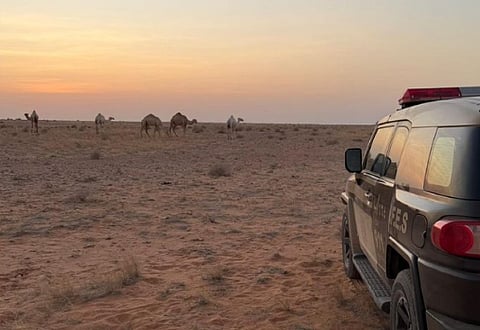 محمية الإمام عبدالعزيز بن محمد الملكية