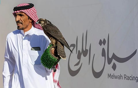 انطلاق أول أشواط سباق الملواح بمعرض الصقور والصيد السعودي الدولي 2025
