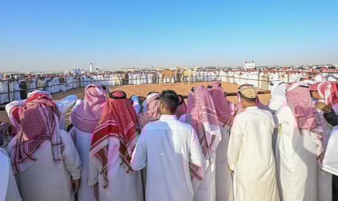 أكثر من 160 ألف زائر لفعاليات مزاد حائل للإبل