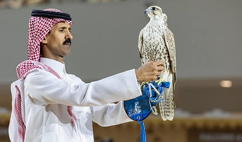 بيع صقرين بـ900 ألف ريال من منغوليا في معرض الصقور والصيد السعودي الدولي 2025