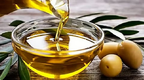 الإرشاد الزراعي: جودة زيت الزيتون تقتضي عدم خلط الثمار المتساقطة بالسليمة 