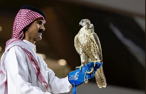 بيع 4 صقور بـ652 ألف ريال في معرض الصقور والصيد السعودي الدولي 2025