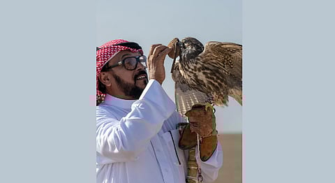 صيد الصقور وتربيتها.. إرثٌ عريق وحضورٌ متجدد