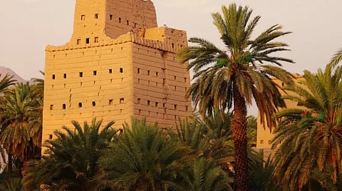 بيوت نجران الطينية.. ذاكرة تاريخ عميق ومصدر جذب للسائحين