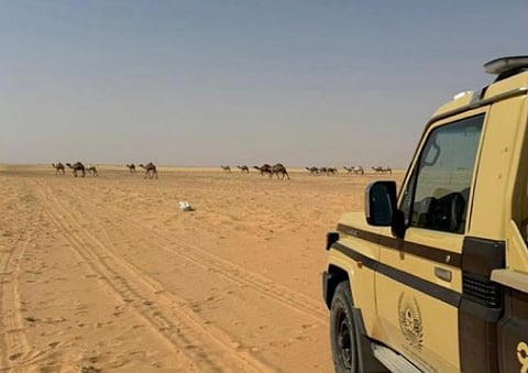 محمية الملك عبدالعزيز الملكية