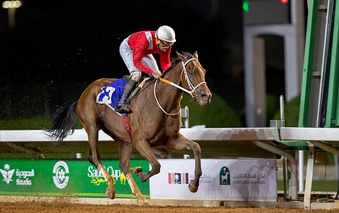 اختتام منافسات الأسبوع الأول من سباقات الخيل بالرياض