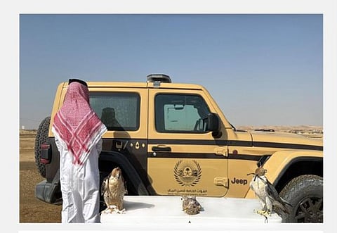 القبض على مواطن مخالف لنظام البيئة في منطقة المدينة المنورة
