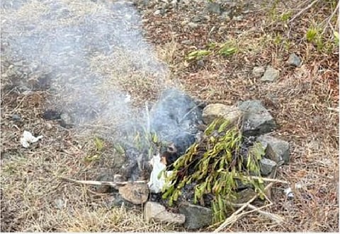 ضبط خليجي لعدم الالتزام بتعليمات وإرشادات المحافظة على الغطاء بمحمية الإمام فيصل بن تركي الملكية