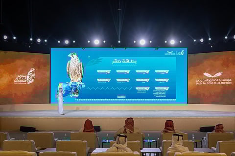 بيع صقرين بـ163 ألف ريال في الليلة الـ 11 لمزاد نادي الصقور السعودي 2025