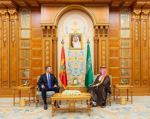 ولي العهد يلتقي رئيس وزراء الجبل الأسود على هامش انعقاد مؤتمر مبادرة مستقبل الاستثمار