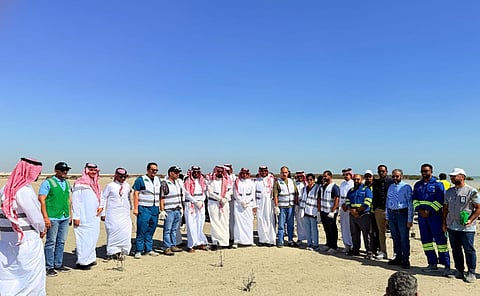 انطلاق مبادرة زراعة 50 ألف شتلة مانجروف في شاطئ دانة الرامس دعمًا لموسم التشجير الوطني 2025