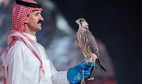 بيع صقرين بـ 236 ألف ريال في الليلة الـ 18 لمزاد نادي الصقور السعودي 2025

