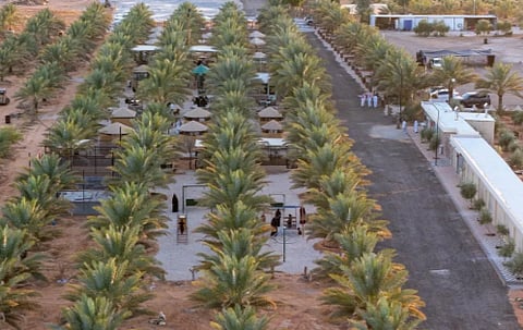 مزارع منطقة الجوف تضيف تجربة فريدة في السياحة الريفية