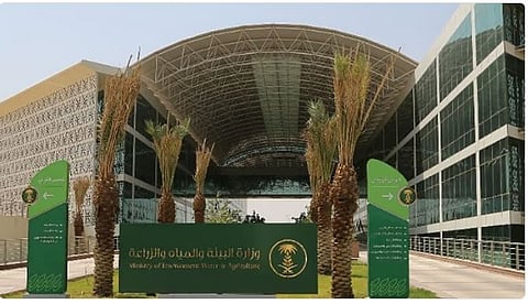 طرح 4 فرص استثمارية لدعم قطاع الثروة الحيوانية وتعزيز الأمن الغذائي في جازان