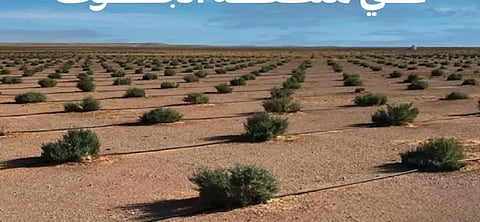 «الغطاء النباتي» يزرع مليون شتلة لأمهات البذور بمنطقة الجوف