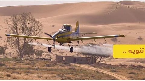 «وقاء» يدعو المواطنين الابتعاد عن مواقع الرش والحذر من المبيدات وعمليات المكافحة بمكة المكرمة