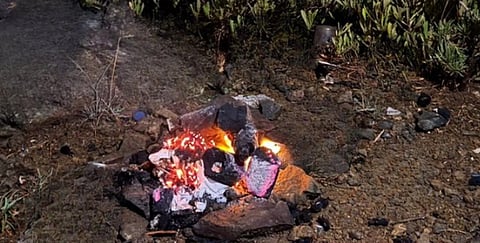 محمية الإمام فيصل بن تركي الملكية