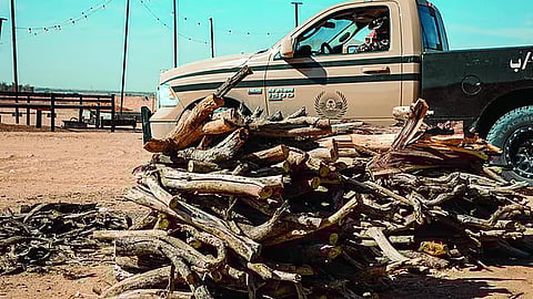 ضبط 3 يمنيين لارتكابهم مخالفة تخزين الحطب المحلي في الرياض