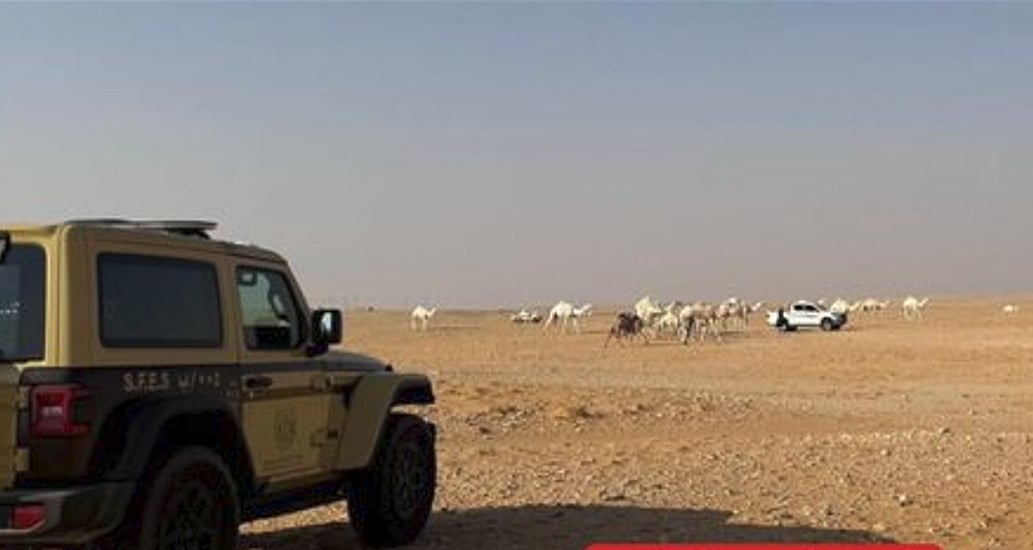 ضبط مواطن لارتكابه مخالفة رعي في محمية الإمام عبدالعزيز بن محمد الملكية