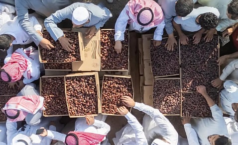  اختتام مزاد تمور العُلا وسط إقبال واسع ومبيعات تجاوزت 13 مليون ريال