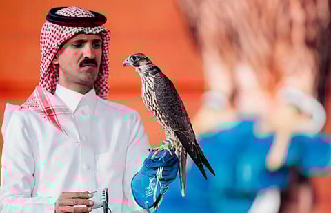 بيع صقرين بـ156 ألف ريال في الليلة الـ 24 لمزاد نادي الصقور السعودي 2025