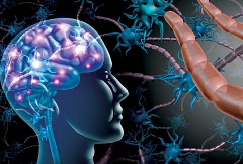 علماء: التصلب المتعدد يهاجم الدماغ قبل ظهور الأعراض  