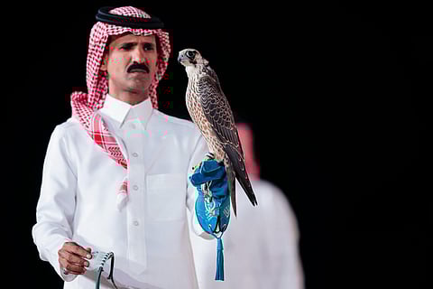 أبناء شرورة يحصدون أكثر من نصف مليون ريال بصقرهم الثاني في مزاد نادي الصقور السعودي 2025