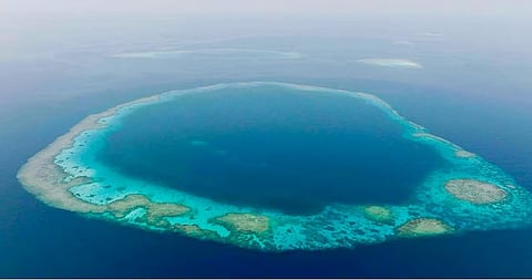  الرئيس التنفيذي في المركز الوطني لتنمية الحياة الفطرية: محميتا "الثقوب الزرقاء" و"رأس حاطبة" تؤكدان جهود السعودية في حماية البيئة البحرية