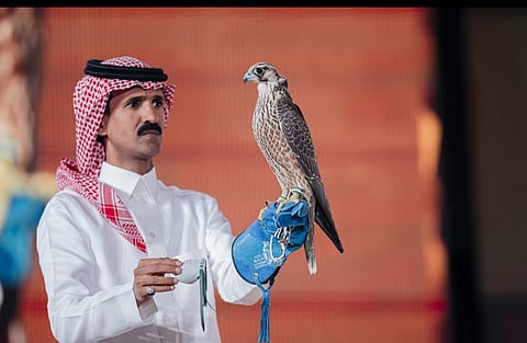 بيع شاهين شرورة بـ351 ألف ريال في الليلة الـ25 لمزاد نادي الصقور السعودي 2025
