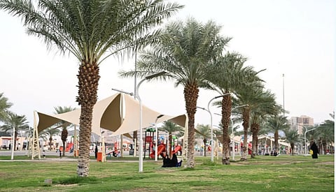  المنتزهات في مكة المكرمة تشهد إقبالًا من الأهالي مع اعتدال الأجواء