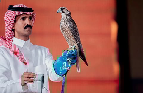  الطواريح يشيدون بجهود نادي الصقور السعودي في تطوير سوق الشواهين