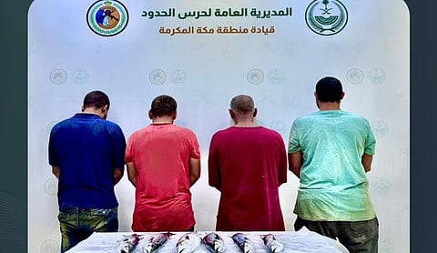 ضبط 4 مصريين مخالفين للائحة الأمن والسلامة لمزاولي الأنشطة البحرية