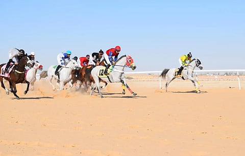 فروسية الأحساء تقيم حفل سباقها الرابع