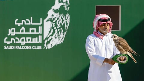 308 صقور تتنافس بأشواط الملاك في ثالث أيام كأس نادي الصقور السعودي 2025