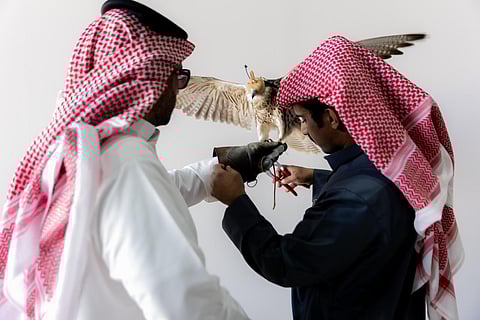 إقبال لافت على توثيق ملكية الصقور في منافسات كأس نادي الصقور 2025 بالخبر